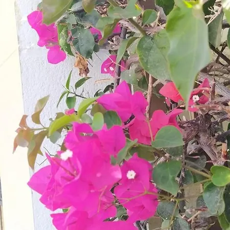 Magnifica Happy Holidays Con Piscina En Gigantes 빌라 푸에르토 데 산티아고